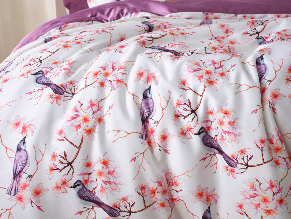 Luxury Collection - Starling Elderberry