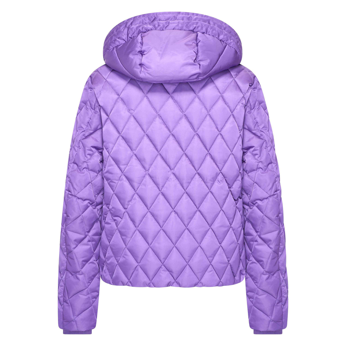 Hv Society - Jas - Purple