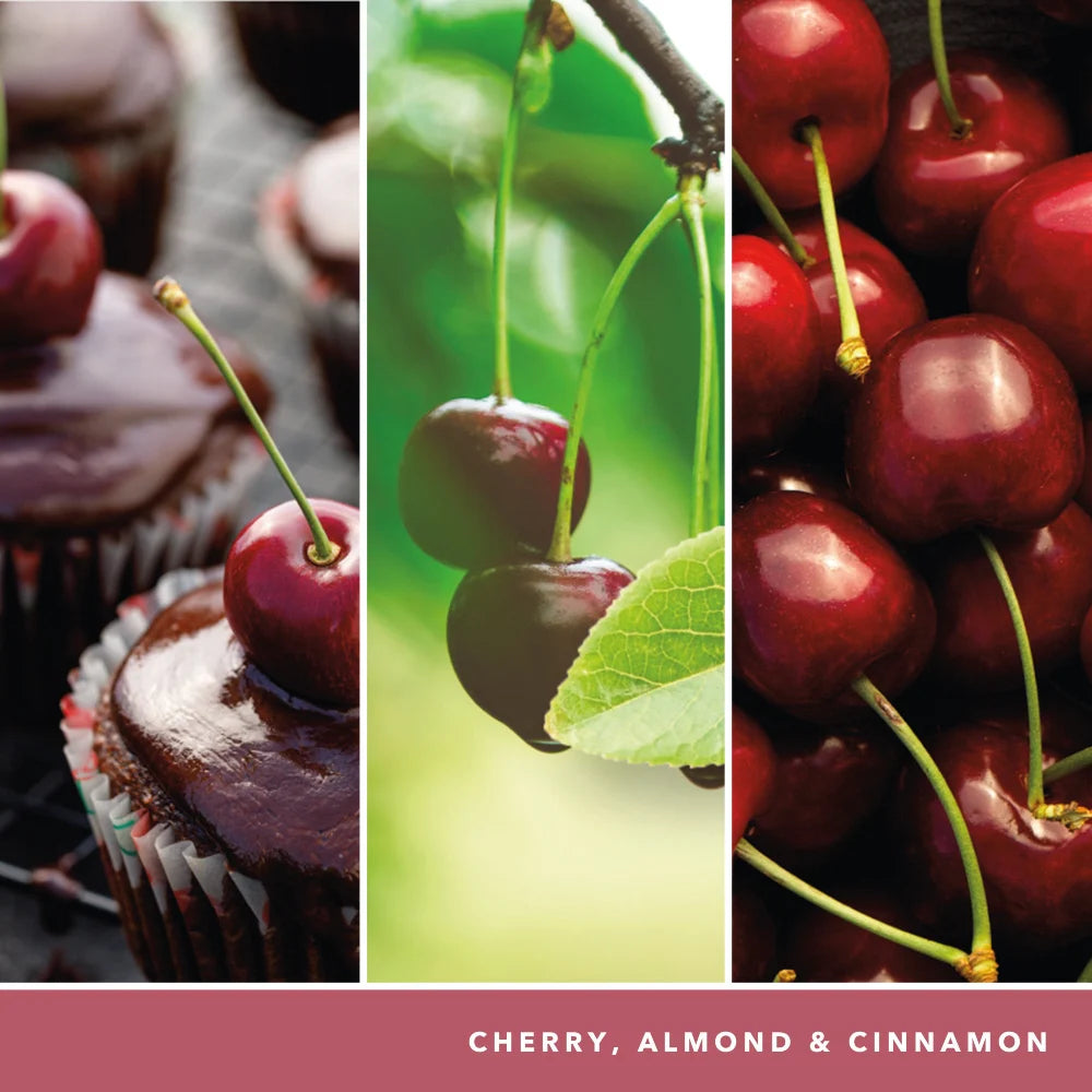 YC Black Cherry Signature Filled Votive 3-Pack