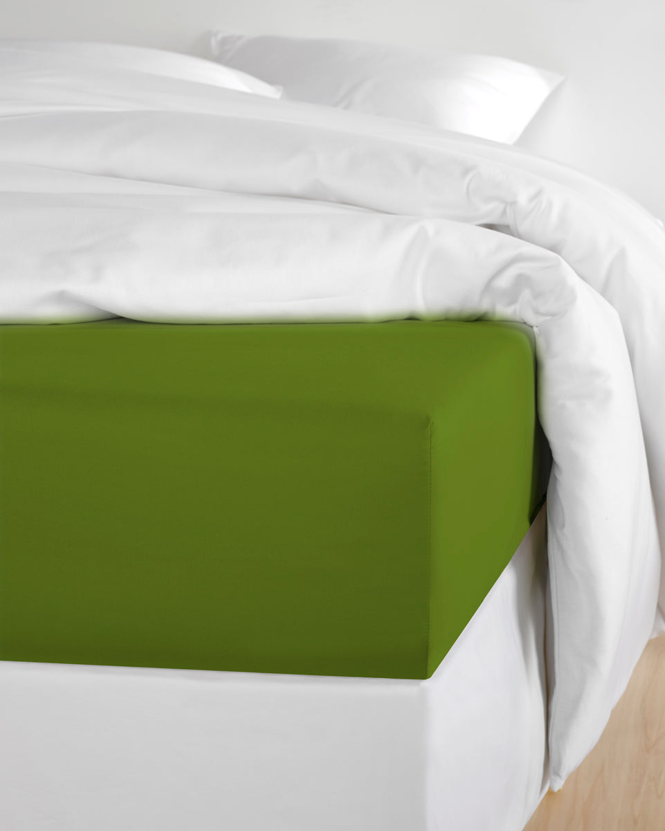 Smart Collection - Olivia Cactus